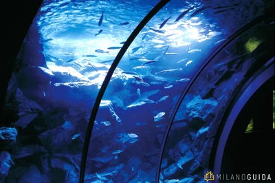 밀라노 시립 수족관(아콰리오 치비코 에 스타치오네 이드로비올로지카 디 밀라노)